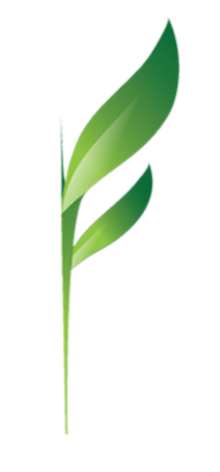 Nutri Score